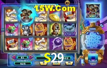 S29